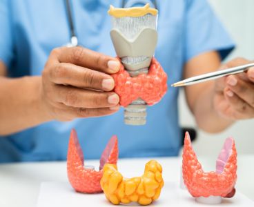 Endocrinology & Clinical Nutrition