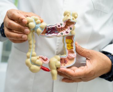 Gut Health Mastery